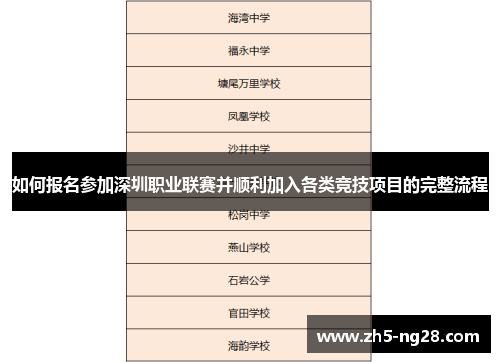 如何报名参加深圳职业联赛并顺利加入各类竞技项目的完整流程