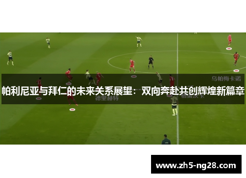 帕利尼亚与拜仁的未来关系展望：双向奔赴共创辉煌新篇章