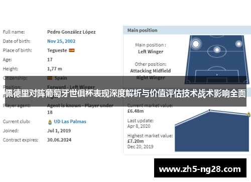 佩德里对阵葡萄牙世俱杯表现深度解析与价值评估技术战术影响全面